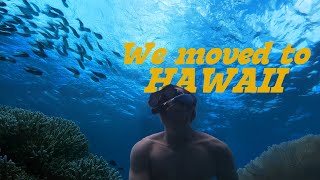 We MOVED to HAWAII Swimming with turtles eel fight and summer recap [upl. by Renado881]