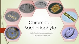 Introducción al estudio de las Diatomeas Bacillariophyta [upl. by Hennessey493]