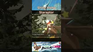 SHINY ALPHA STARAPTOR shorts shinypokemonhunter pokemonlegendsarceus shinypokemon pokemon [upl. by Erin]