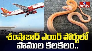 Shamshabad Airport  శంషాబాద్ ఎయిర్ పోర్టులో పాముల కలకలం hmtv [upl. by Brion]