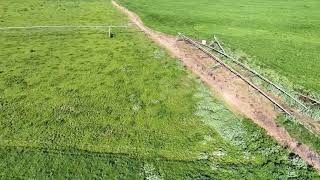 Condition report rural land Muswellbrook NSW 7824 [upl. by Mehta]