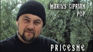 Marius Ciprian Pop  Iisuse al meu Prieten Bun [upl. by Zirtaeb229]