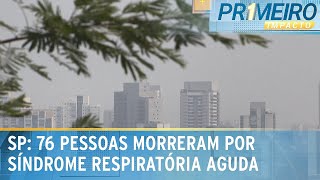 Ar de SP equivale a fumar mais de meio cigarro por dia  Primeiro Impacto 110924 [upl. by Oremo]