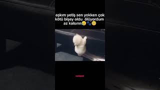 Abartma seviyem bu şekil 😂 [upl. by Riane521]