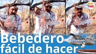 Hombre arma bebedero casero para las aves y se vuelve viral noticias [upl. by Gerger]