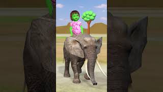 Tiger 🐯 or hathi 🐘 to h anaya ke pas lekin papa ko mummy se dar lagta h papa tiger elephant [upl. by Pittman]