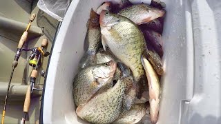 EASY Way To LOAD Your Freezer With Crappie Fall Crappie Fishing [upl. by Fabri]