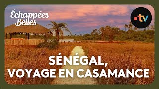 Sénégal voyage en Casamance  Echappées belles [upl. by Tacy187]