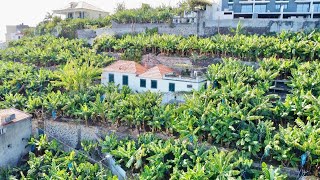 House at Câmara de Lobos  Alice amp Neil [upl. by Hcir]