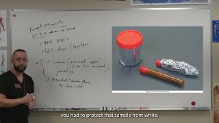 Phlebotomy  Ch7 Blood Counts and Hemostasis  Recorded Lecture 10252023mp4 [upl. by Atiuqel]