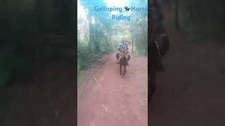 Galloping 🏇Horse Riding in Matheran adventure nature travel horse ytshortsindia trending [upl. by Kuster]