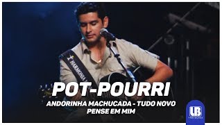 Léo Magalhães  Andorinha Machucada Tudo De Novo Pense Em Mim  DVD Ao Vivo em Goiânia [upl. by Noryv714]