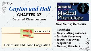 Guyton Chapter 37  Hemostasis Clotting factors  Coagulation  Intrinsic and Extrinsic pathways [upl. by Animaj]