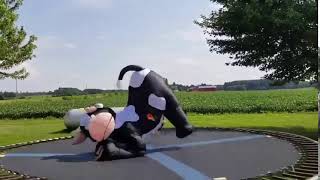 Trampoline Flip In Cow Costume [upl. by Liagaba]