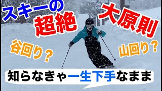 知らなきゃ絶対に上手くならないスキーの超絶大原則【谷回りと山回りの特徴】 [upl. by Loretta814]