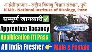 ICMRNIV Apprentice Recruitment 2024  NIV Pune Apprenticeship Recruitment 2024  Icmr Apprentice [upl. by Eniamret162]