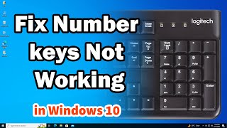 How to Fix Number Keys Not Working In Windows 10 PC or Laptop [upl. by Nevag432]