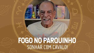 Sonhar com cavalo João Bidu explica o significado deste sonho  POR JOÃO BIDU [upl. by Ettezyl373]