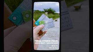 【TEREA HYBRID PEARL】GREEN FRUIT／SMOOTH MINT （¥580） [upl. by Teews]