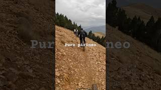 Puro pirineo mtb pirineus bttlife mountainbike bici bicicleta trilhos mtb btt espanha [upl. by Appolonia]