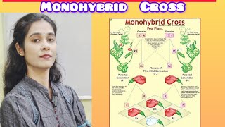 Biology Marathon Monohybrid crossPrinciples of Inheritance and Variation [upl. by Eohce119]