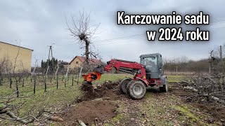 Karczowanie sadu  wyrywanie drzew z korzeniami w 2024 roku [upl. by Lammaj]