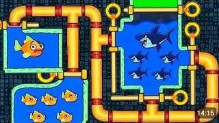 Save the fish pull the pin 📌 😍 Best android game 🎮Best for watching kids 🥰 Fish dom 🥀 [upl. by Paluas]