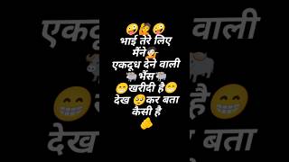 dudh Dene Wali Bhains 🐃 🤣🤣 shortsvideo bhains [upl. by Moor]