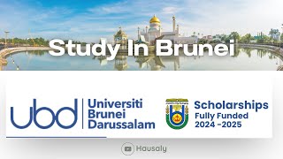 University of Brunei Darussalam Scholarship 20242025  Apply Now Hausa [upl. by Ilesara258]