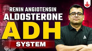 Renin Angiotensin Aldosterone System  NEET 2025  Antidiuretic Hormone ADH System  Nomesh Sir [upl. by Enelrak]