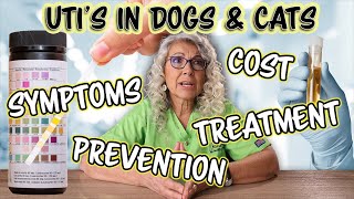 Urinary Tract Infections UTIs in Dogs amp Cats [upl. by Erehc70]