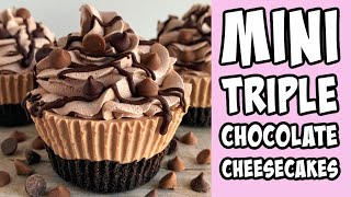 Mini Triple Chocolate Cheesecake Recipe tutorial Shorts [upl. by Anihtyc736]