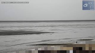 Weltnaturerbe das Wattenmeer vor CuxhavenDuhnen mit Strandblick [upl. by Bannerman]