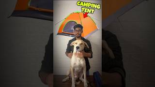 I Surprised A Street Dog With Camping Tent [upl. by Fauman336]