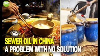 More than 10 of Chinese people consume sewer oil every dayHotel workers recycle sewer oil [upl. by Capello839]