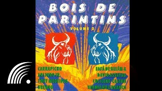 Fafá de Belém  Vermelho  Bois de Parintins vol2  Oficial [upl. by Matheson757]