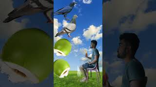 Spinning coconut to kawa kabutar totakinemasterediting funny vfxpro [upl. by Osner596]