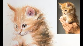 Cat Painting in Watercolor Demo Real Time on Patreon [upl. by Abisha205]