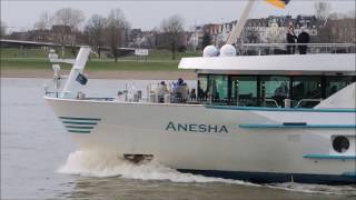 Personenschiff Anesha in Düsseldorf auf dem Rhein [upl. by Yennaiv]