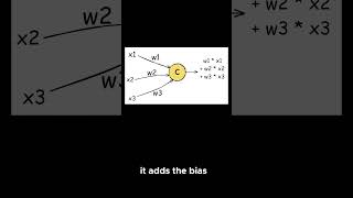 How Neurons Work in Neural Networks [upl. by Donnenfeld]