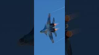 su33 Aviation dcsworld pc pcgaming shorts gaming youtubeshorts pcvr 1million fighterjet [upl. by Kreis]