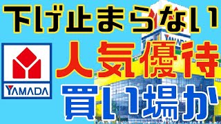 年初来安値更新中のヤマダ電機は買い場なのか？ [upl. by Enilrek]