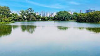 Ibirapuera Park Sao Paulo Brazil [upl. by Amethyst500]