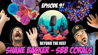 Episode 09 SBB Corals Shane Backer [upl. by Duvall]