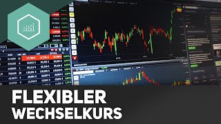 Flexibler Wechselkurs  einfach erklärt [upl. by Zsa]