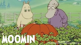 The Bubbles amp The Giant Pumpkin  Moomin 90s  DOUBLE FULL EPISODE [upl. by Morez892]