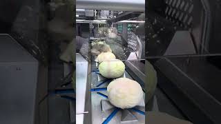 A LABOURSAVING SOLUTION FOR FOOD PROCESSING COMPANIES [upl. by Hsirrap]