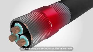 Bezinox®  Protect your cable against the crevice corrosion [upl. by Gamali]