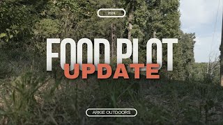 Food plot update [upl. by Handel]