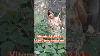 Barbatibodilobia ke benefits garden vegetables love [upl. by Eciuqram450]